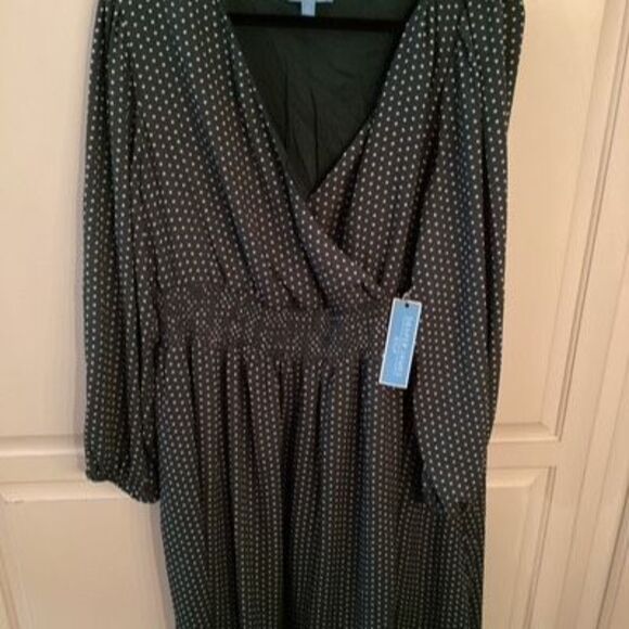 NEW Draper James RSVP Green Polka Dot Dress Sz 1X Cinched Waist - Picture 2 of 9